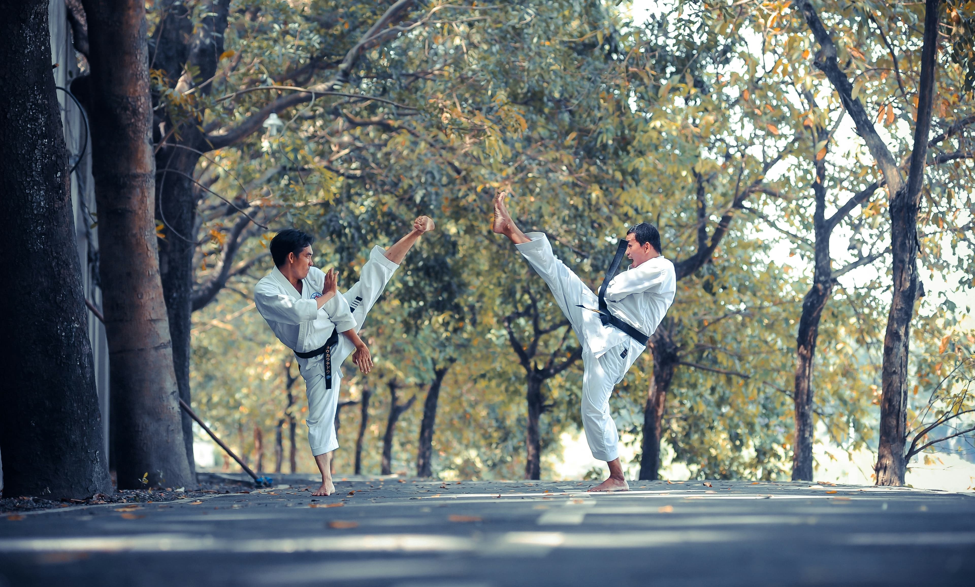 Martial Arts — Studio Wand management software